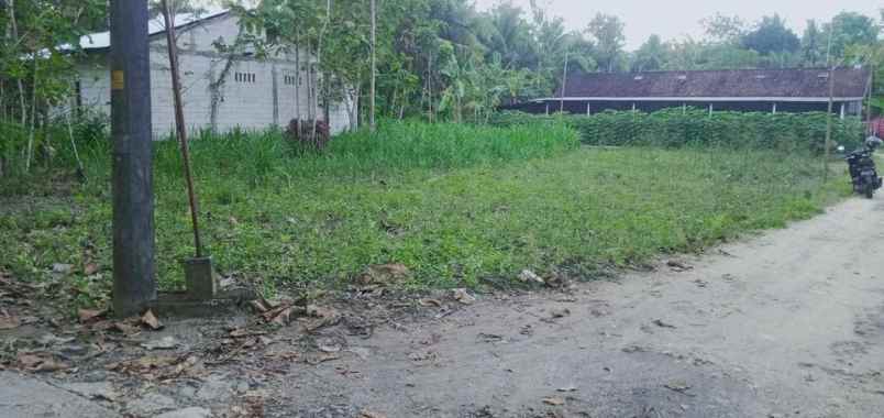 dijual tanah pandak kabupaten bantul