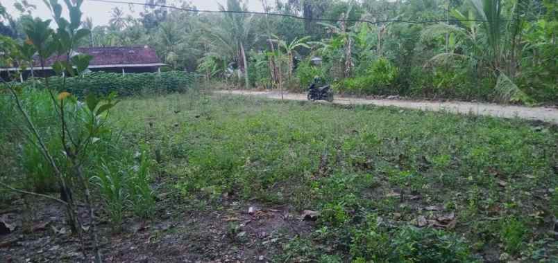 dijual tanah pandak kabupaten bantul