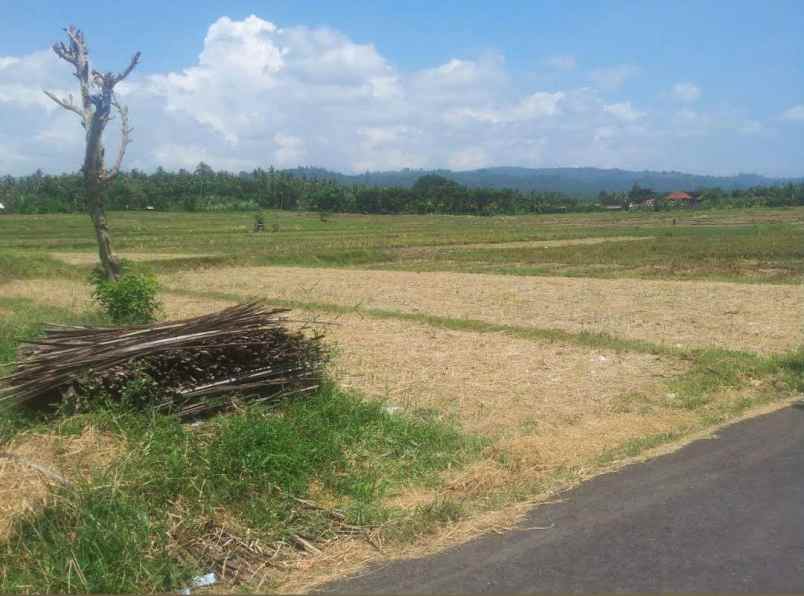 dijual tanah pangyangan bali