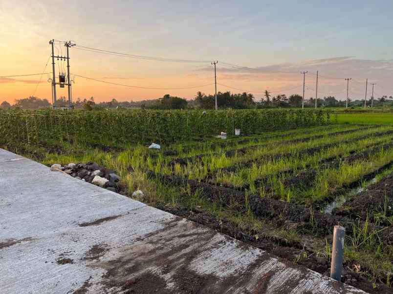 dijual tanah pantai kedungu tabanan bali