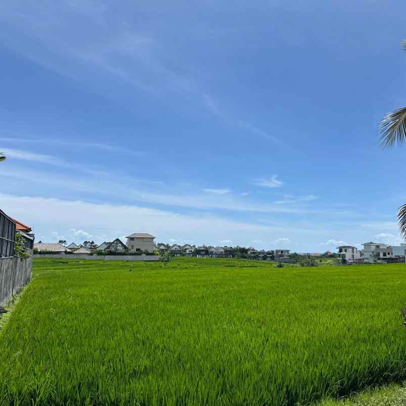 dijual tanah pantai mengening