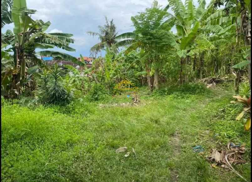 dijual tanah pererenan