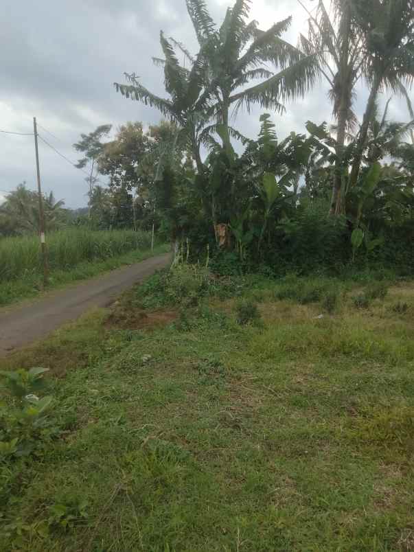 dijual tanah raya pandan landung