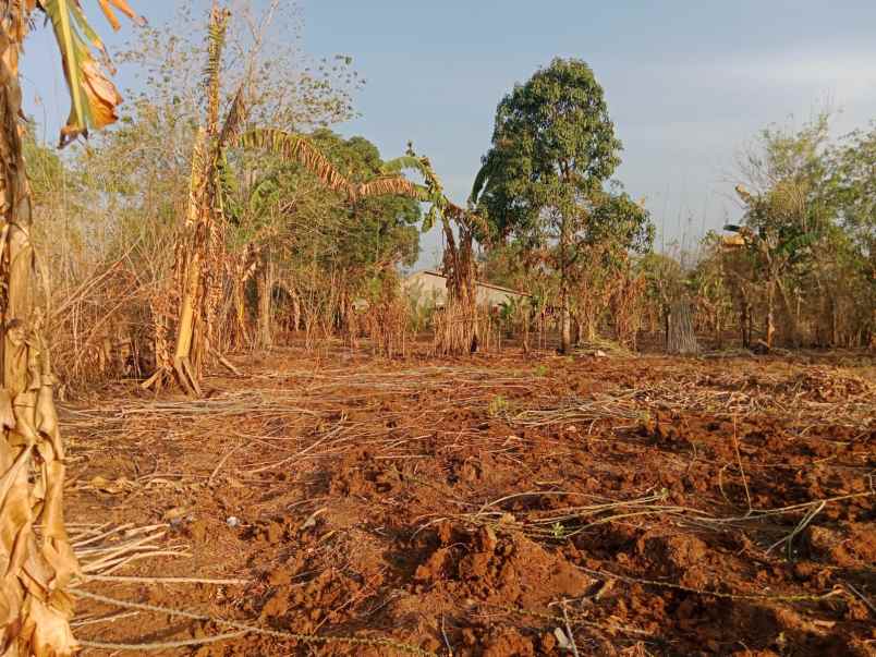 dijual tanah sekitar pattallassang gowa