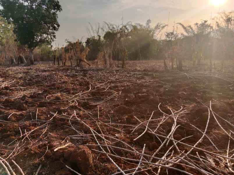 dijual tanah sekitar pattallassang gowa