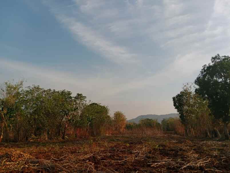 dijual tanah sekitar pattallassang gowa