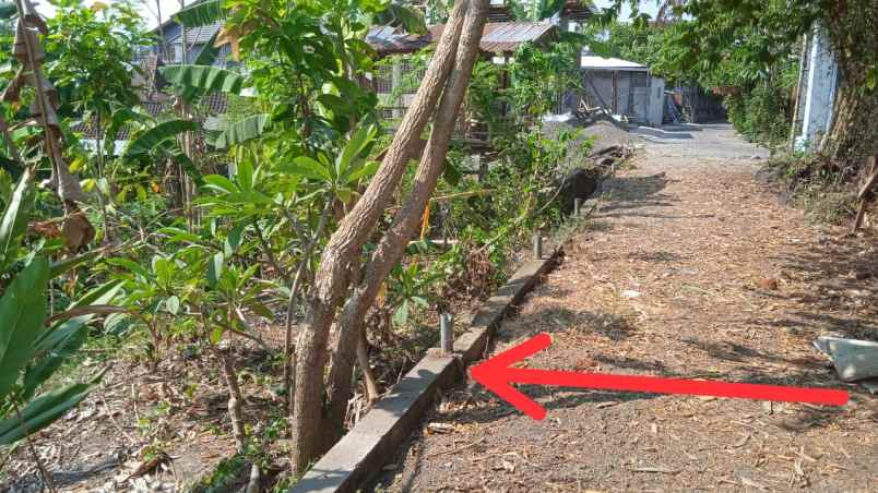 dijual tanah sempid badung bali