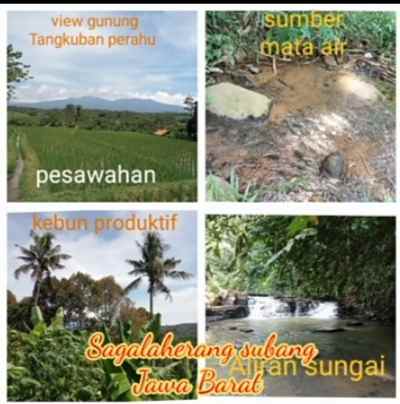 dijual tanah subang