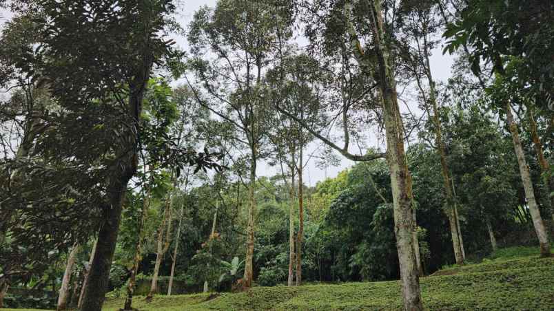 dijual tanah sukaharja