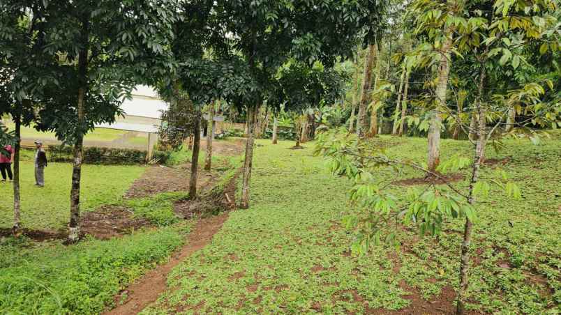 dijual tanah sukaharja kec cijeruk