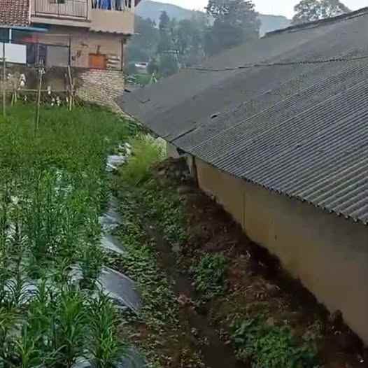 dijual tanah sukajaya