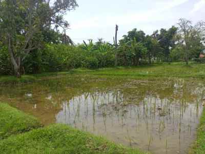 dijual tanah tanjungjaya