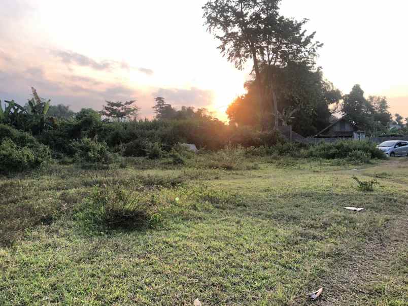 dijual tanah tanjungsari tanjungarum