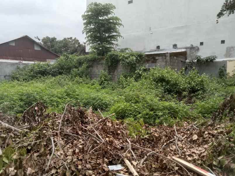 dijual tanah timoho raya