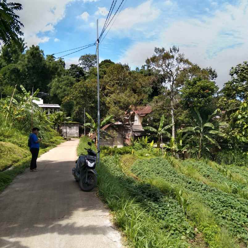 dijual tanah trawas kesiman