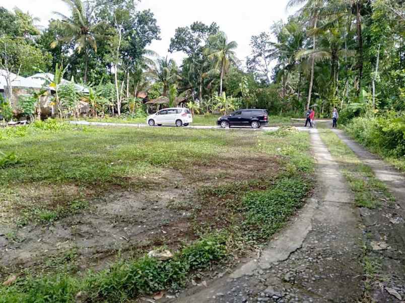 dijual tanah triharjo wates kulonprogo