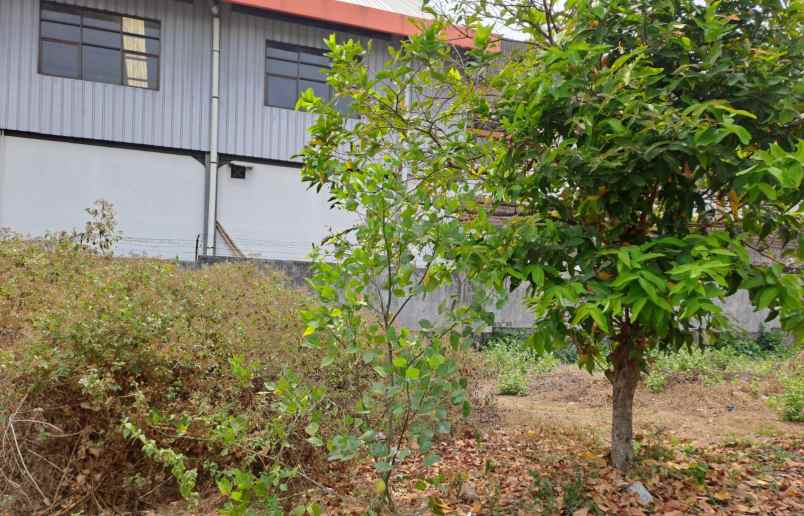 dijual tanah ugm