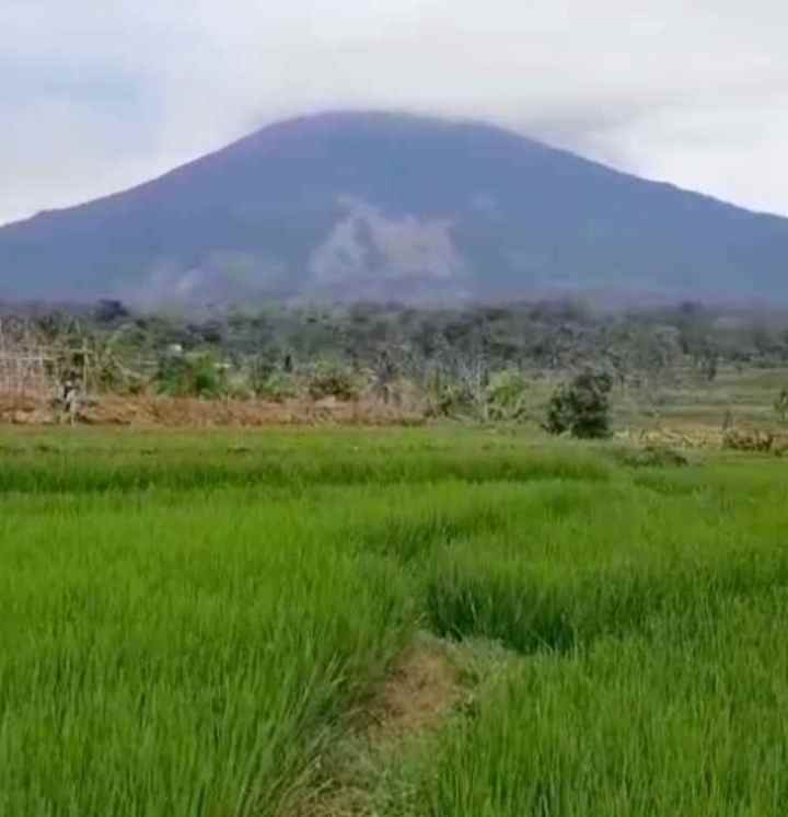 dijual tanah view gunung sawah pinggir jalan