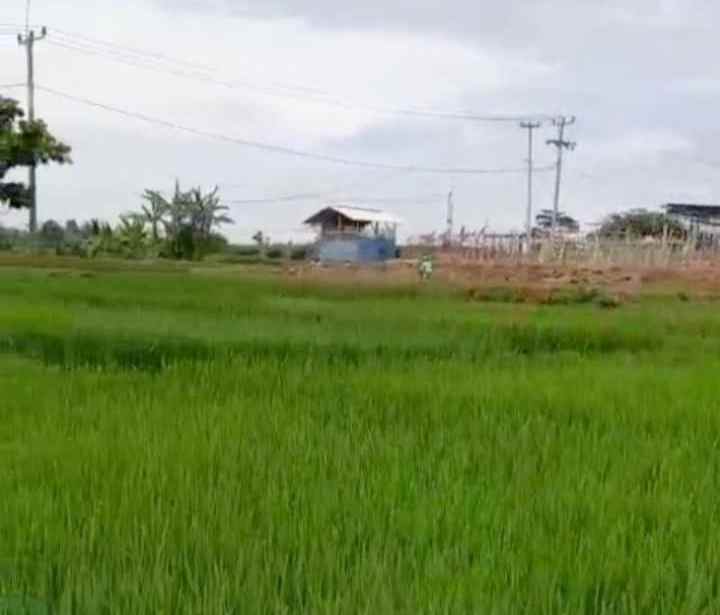 dijual tanah view gunung sawah pinggir jalan