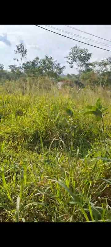 dijual tanah villa bandung indah