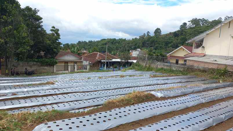 dijual tanah wangunsari lembang