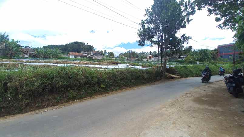 dijual tanah wangunsari lembang