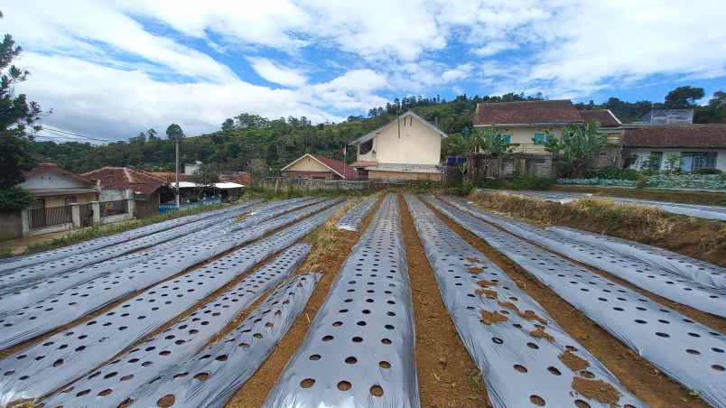 dijual tanah wangunsari lembang