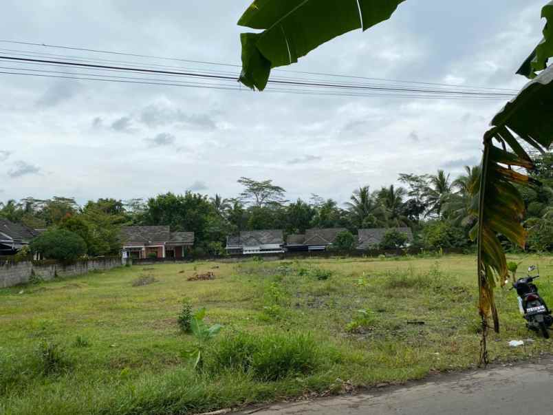 dijual tanah wringinputih kec borobudur