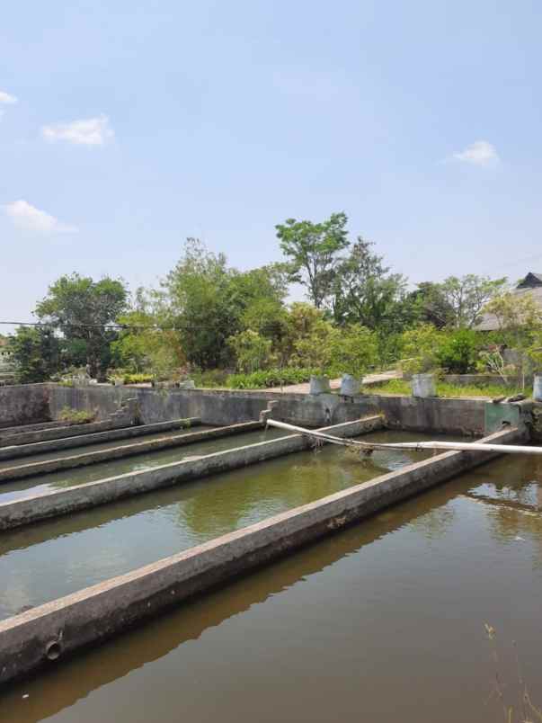 dijual villa jalan raya kebun raya