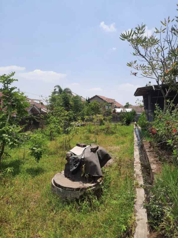 dijual villa jalan raya kebun raya