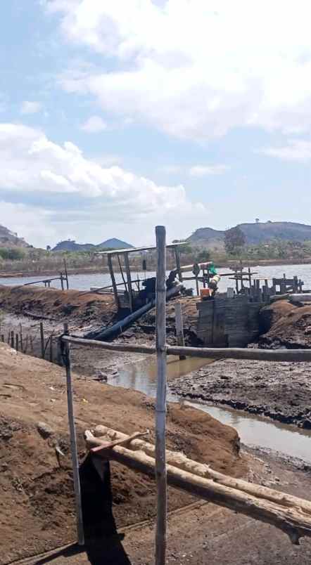 disewakan tanah empang sumbawa ntb