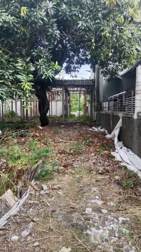 disewakan tanah karang anyar