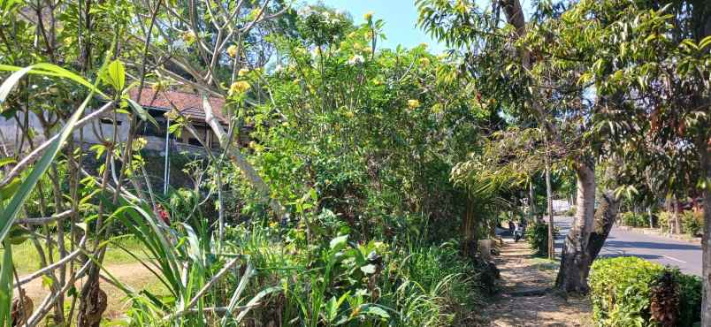 disewakan tanah sidan kota gianyar bali