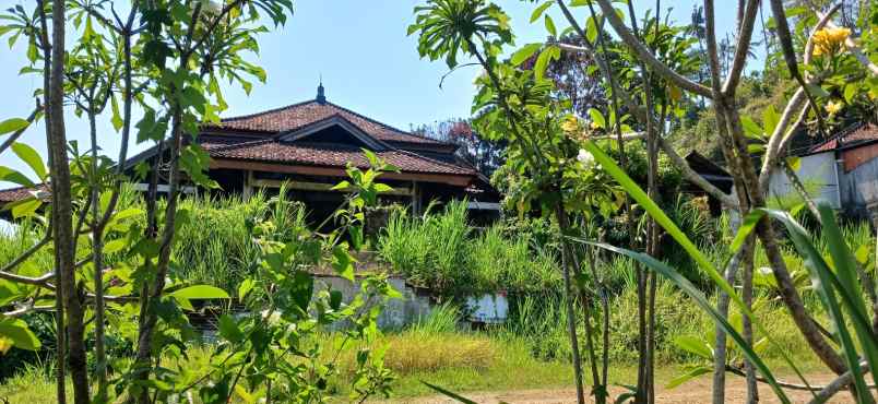 disewakan tanah sidan kota gianyar bali