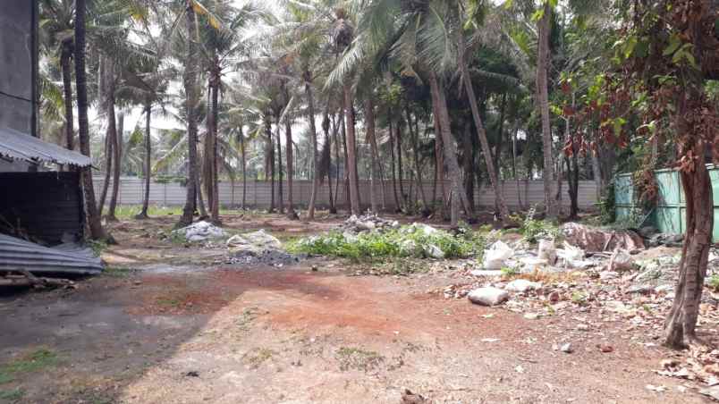 gudang di teluk naga tangerang banten