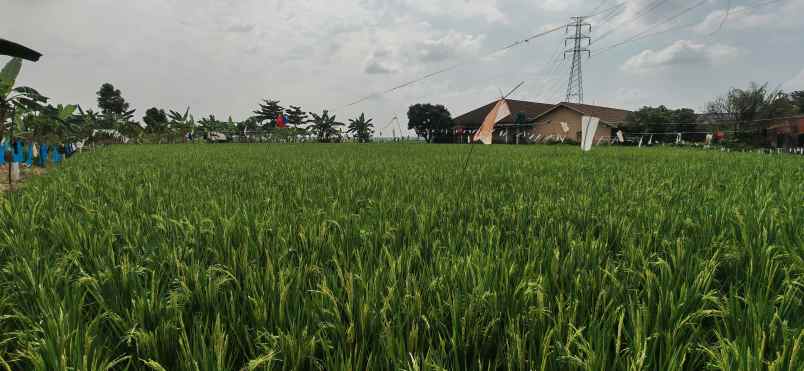 jual cepat tanah karawang barat shm