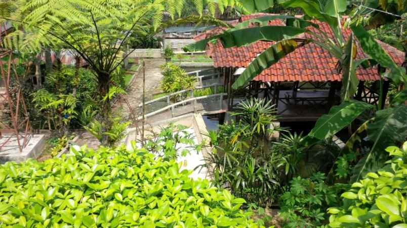 jual murah villa andhita cipanas