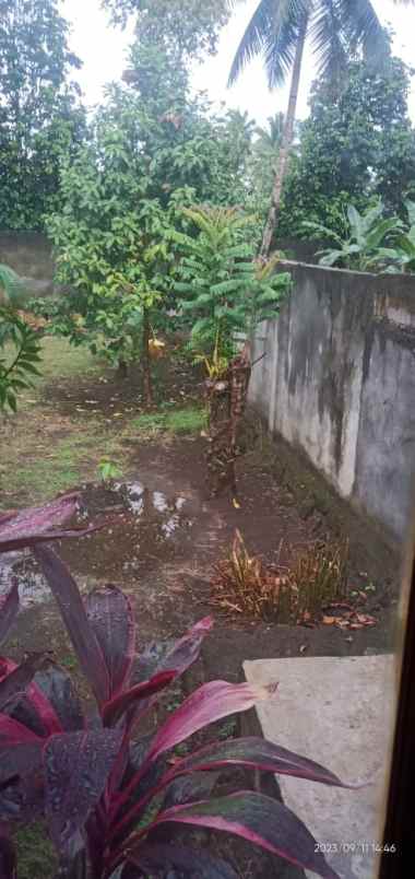 jual rumah cantik bersih terawat