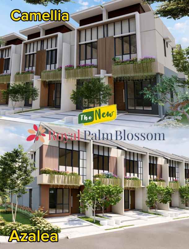 jual rumah new cluster royal palm blossom jak bar