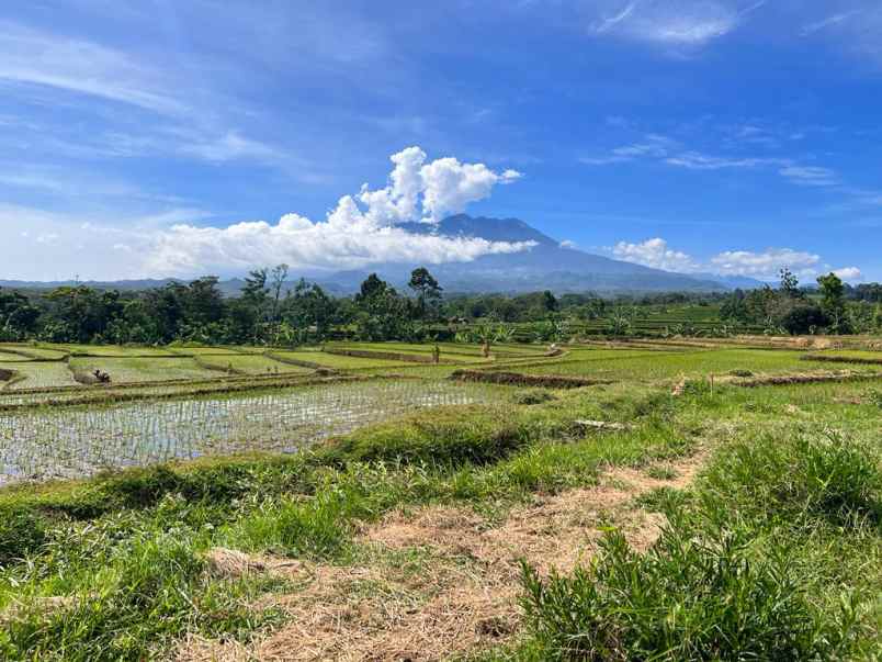 jual tanah 234m kerjo karanganyar