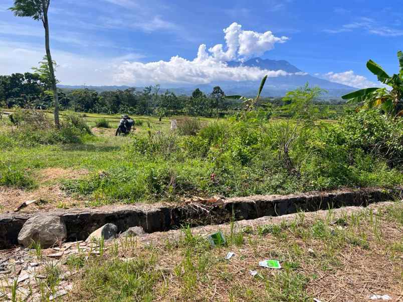 jual tanah 234m kerjo karanganyar