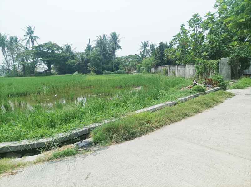 jual tanah 6 263 m2 di mauk tangerang dekat pasar mauk