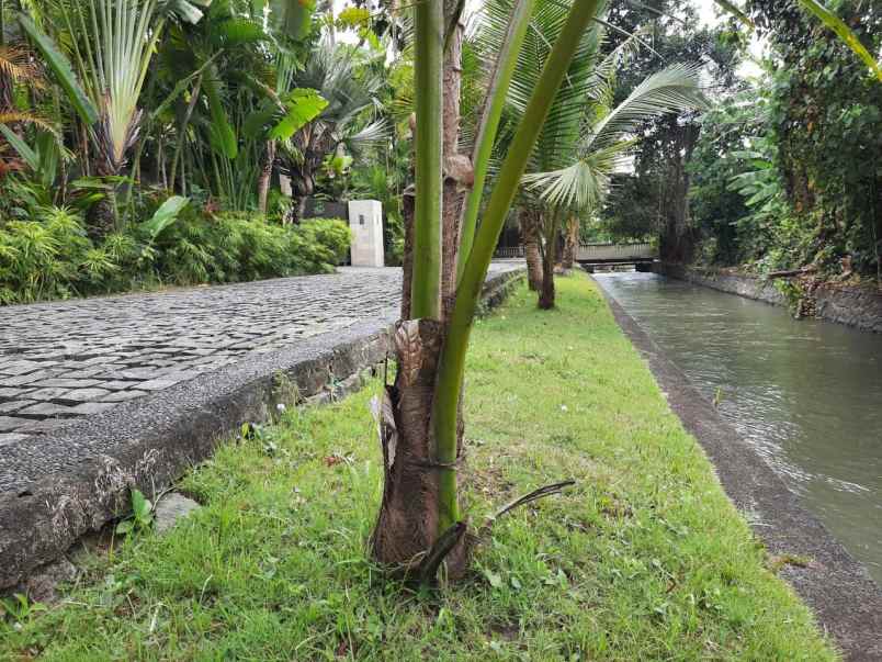 jual tanah luas 39 are jalan utama munggu badung bali