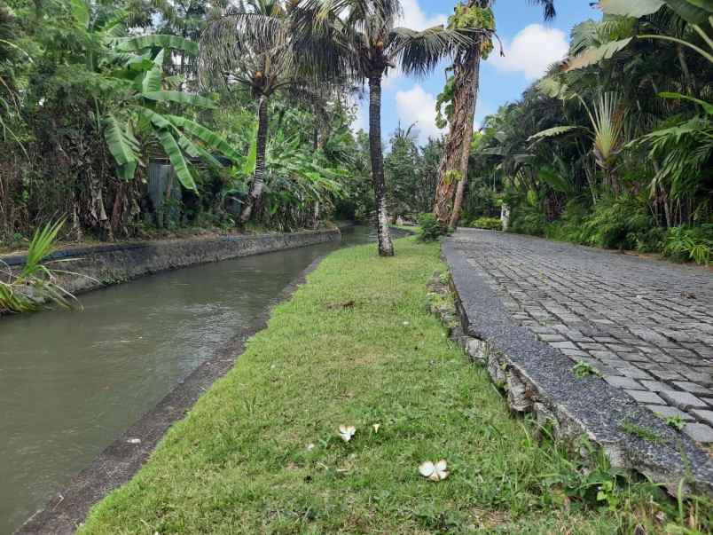 jual tanah luas 39 are jalan utama munggu badung bali