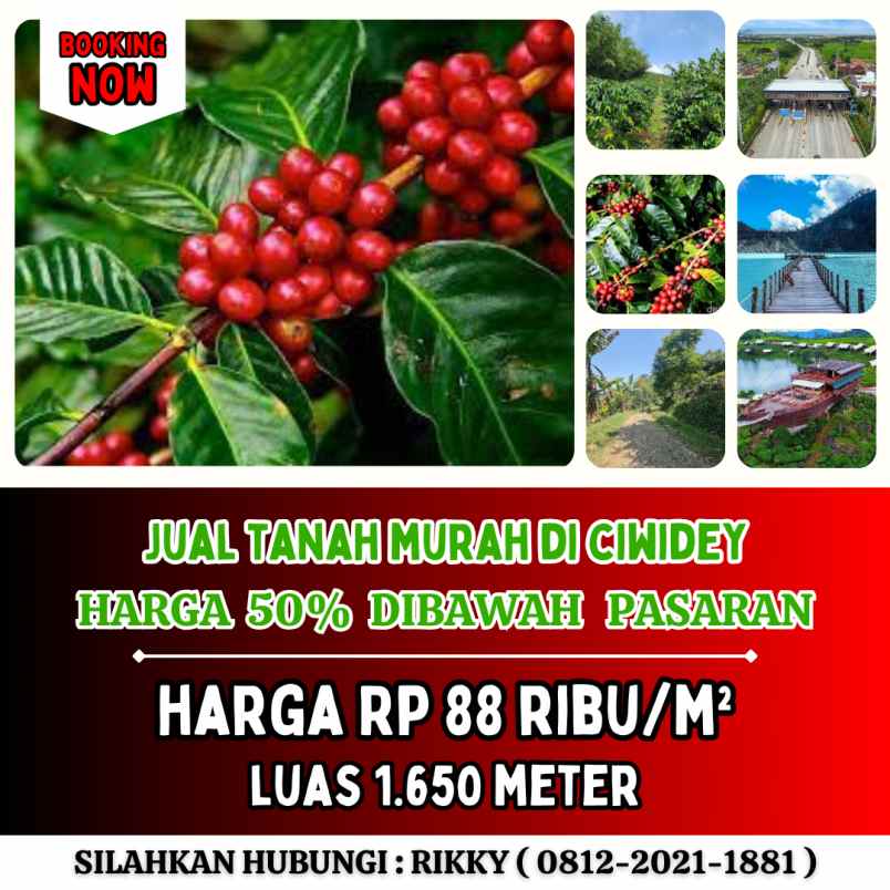 jual tanah murah di ciwidey