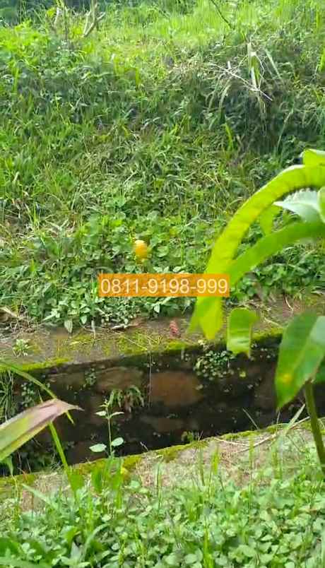 jual tanah parongpong bandung barat 150m2 bd6a57