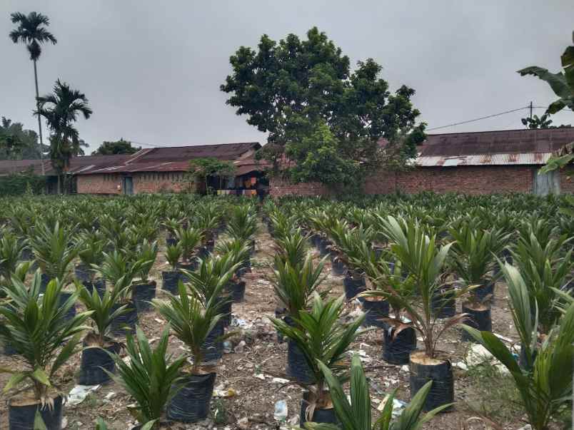 jual tanah siap bangun untuk rumah