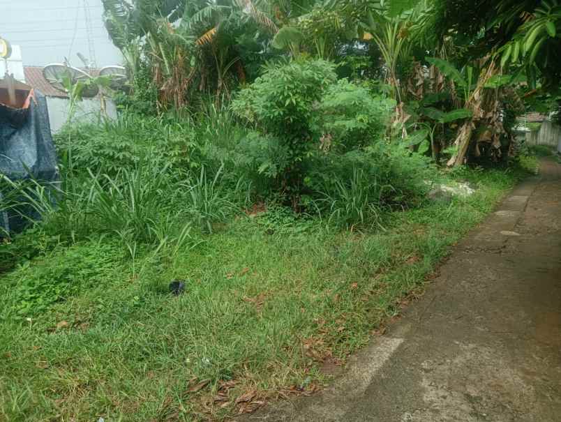 kavling disebelah toko daging nusantara gdc