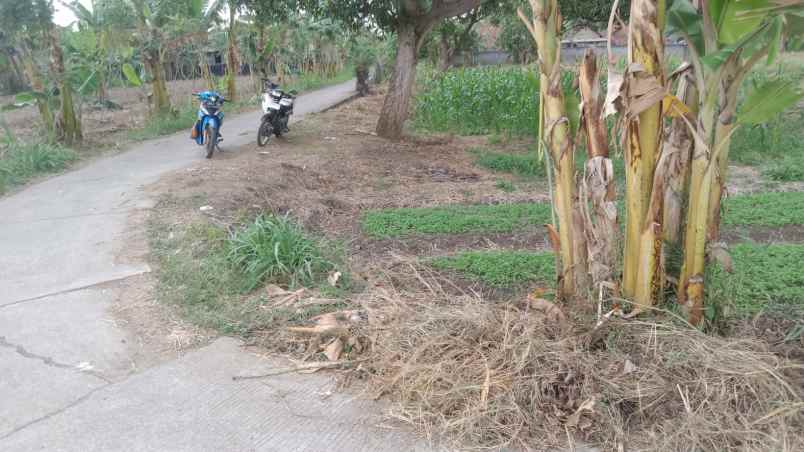 lahan kering tampa uruk