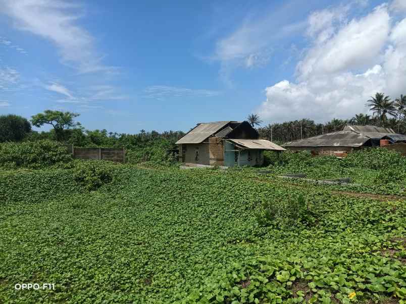 lahan pinggir pantai banten